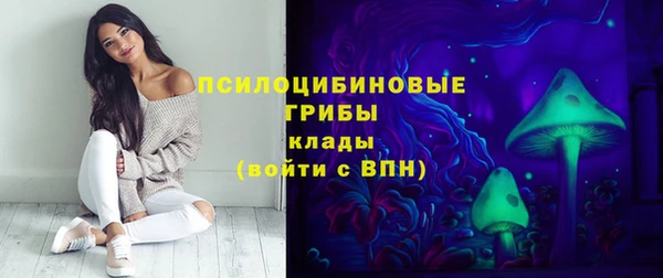 мдма Каменка