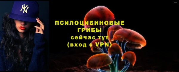 мдма Каменка